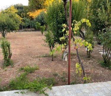 Dilesi House | Cosy spot near the beach only 45 min from Athens