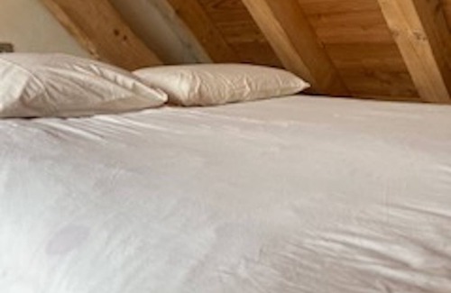 Leschaux Apartment | COSY STUDIO IN THE HEART OF THE BAUGES