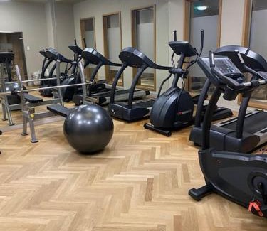 Laax Apartment | Cosy, stylish new flat with spa and gym & shuttle to ski lifts
