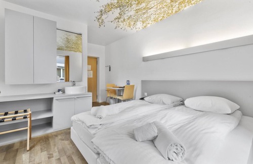 Sierre Hotel | Cosy twin room in the heart of Sierre