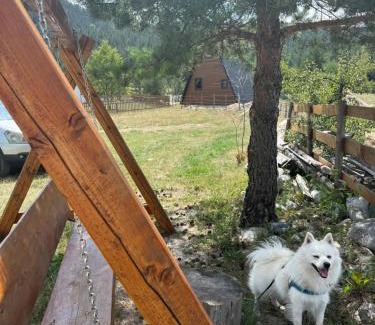Zabljak House | Cottage Angel