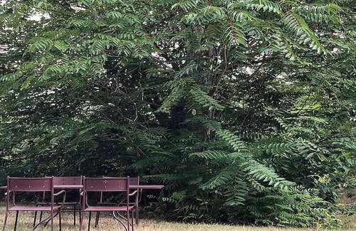 Villesiscle Cottage | Cottage for 4 people at Domaine de la Forçate with swimming pool in the park.