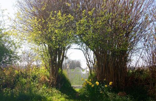 Damp House | Cottage, Steam