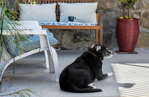 Manly Apartment | Cottage-style Unit on Manly Beach