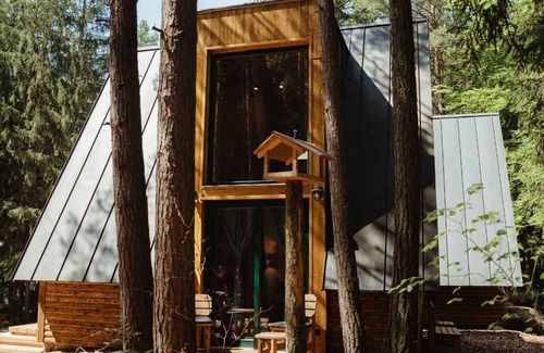 Dolni Mesto Cottage | Cottage with fireplace and patio and with campfire area