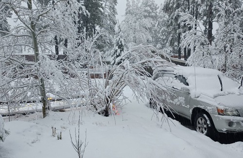 Mountainaire House | Country home in friendly neighborhood surrounded by forest
