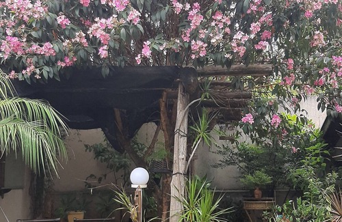 Olimpia House | COUNTRY HOUSE IN THE CITY
