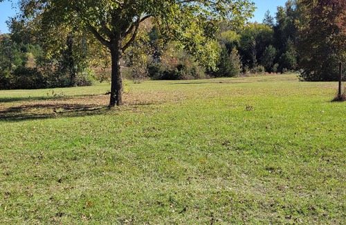 Winnsboro Bed & Breakfast | Country Lake View