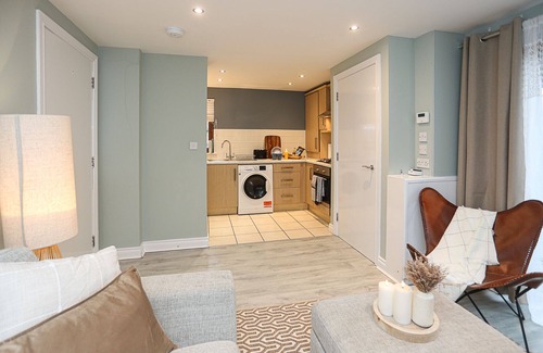 Belfast Apartment | Cozy 1 BDRM apt 2 mins from shops&buses FREE PRKNG