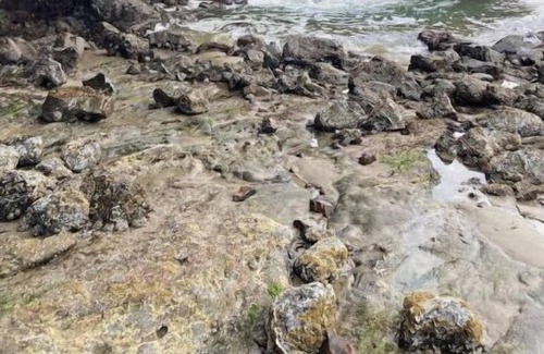 Seal Rock House | Cozy 1 bedroom surf camp with hot tub