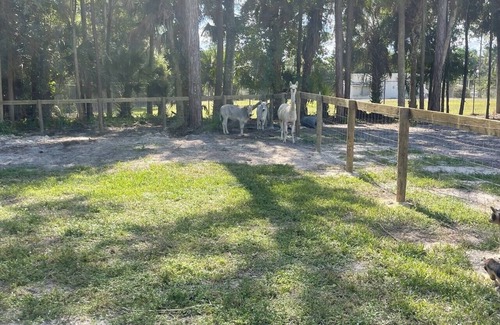 West Palm Beach House | Cozy 2 Acre Home Sleeps 8