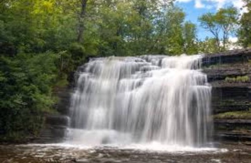 Blossvale Cabin | Cozy 2 Bedroom Cabin!