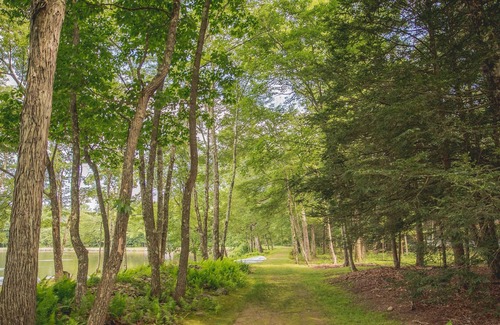 Reeders Cabin | Cozy 2 Bedroom Lake View Cabin is the perfect retreat