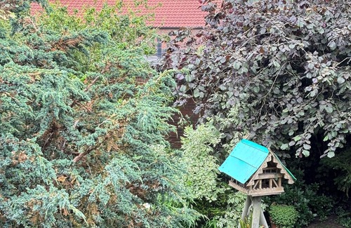 Emden Apartment | Cozy 2-room apartment, 2 pers., Emden am Deich, parking lot, barbecue area, WLAN