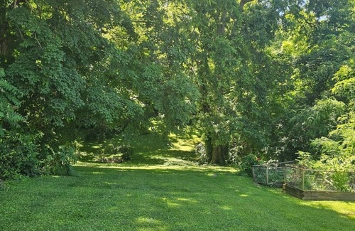 Glasgow House | Cozy 4-bedroom house in pleasant Glasgow close to everything you'll need.