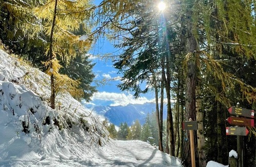 Cogolo Apartment | Cozy alpine chalet in the heart of the Dolomites.
