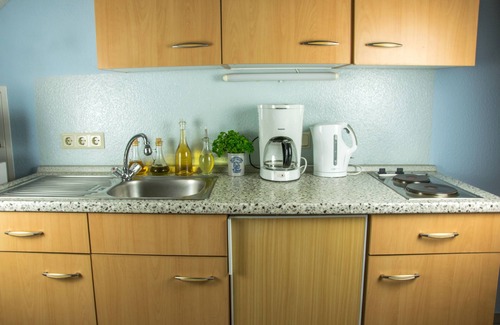 Losnich Apartment | Cozy apartment in a former Riesling vineyard on the Middle Moselle