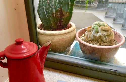 Historical Downtown Salerno Apartment | Cozy apartment two minutes from Teatro Verdi and Villa Comunale