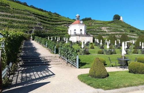 Kotzschenbroda Apartment | Cozy apartment with a view of the vineyards in a top location