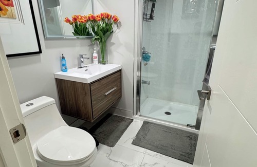Fort Gary House | Cozy Beautiful private 1 BR Basement Suite