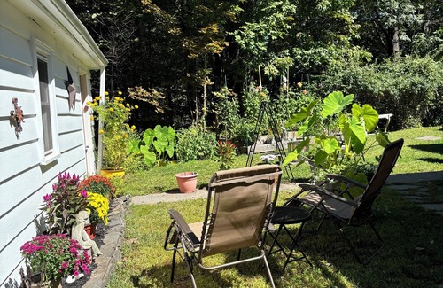 Mount Tremper Apartment | Cozy bright sunny 1-bedroom with quiet AC and WiFi in charming Mount Tremper