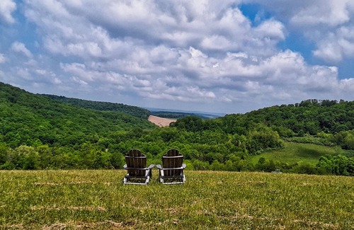 Kantner Cabin | Cozy Cabin Among the Trees - Rustic Charm, Modern Comforts, 26 Secluded Acres