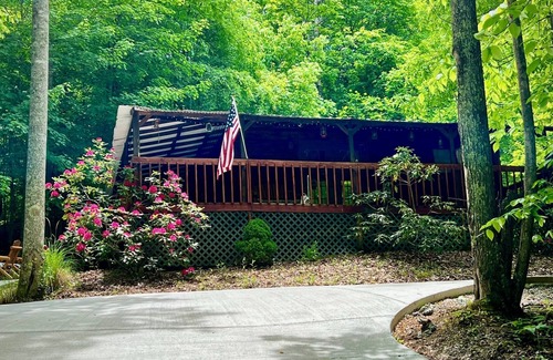 Rogersville Cabin | Cozy cabin getaway close to hiking, skiing, sightseeing, and Bristol!
