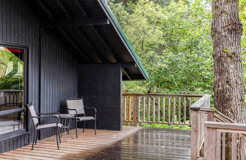 Alyeska Cabin | Cozy Cabin in Central Girdwood W/Wood Stove, Washer/Dryer, & Free WiFi