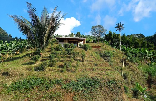 Jardin House | Cozy cabin in charming Jardin with WiFi