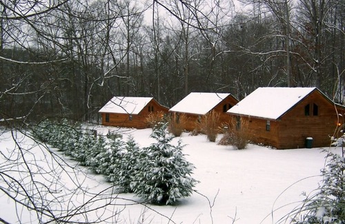 Young Harris Cabin | Cozy Cabin in the North Georgia Mountains - We are open and it's beautiful here!