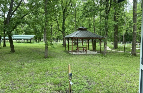 Votaw Apartment | Cozy cabin in the woods! L20