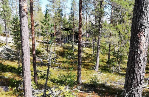 Trysil Cabin | Cozy Cabin Near Trysil