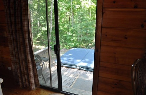 Asheville Cabin | Cozy Cabin on Blue Ridge Pwy & MTS Trl with hot tub, only 15min from downtown