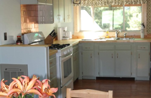 Wapiti Cabin | Cozy Cabin On The Creek - Now with internet!