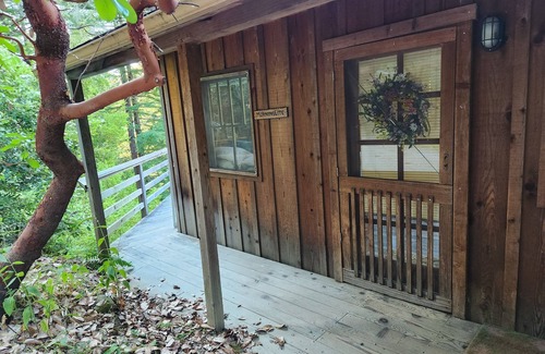 Carmel Cabin | Cozy cabin retreat nestled in the redwoods, in Big Surn