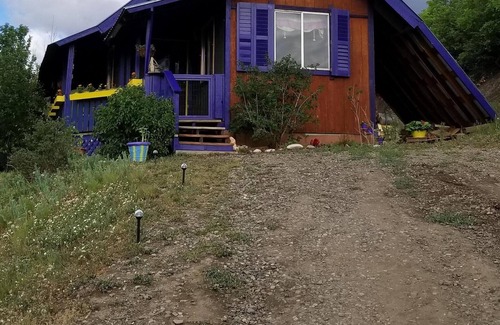 Aspen Springs Cottage | Cozy Cabin tucked away in the hillside amongst the best wildlife. views........
