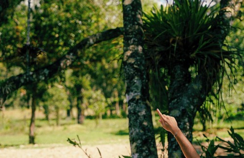 Mirantao Ski Chalet | Cozy chalet in charming Mirantão with WiFi, AC