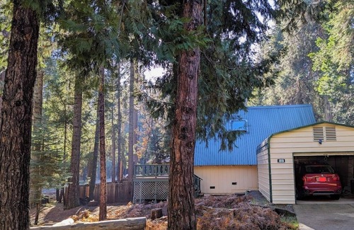 Glencoe Cabin | Cozy & Charming Sierra Nevada mts cabin 40 minutes from Kirkwood Ski resort.