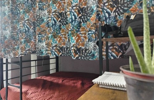 Doctores Hotel | Cozy & Cheap Hostel Close Downtown Mexico City