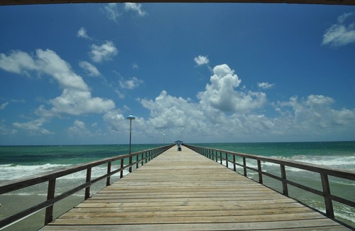 Fort Lauderdale Apartment | Cozy, Clean Efficiency in NE Ft. Lauderdale with large gated carport.
