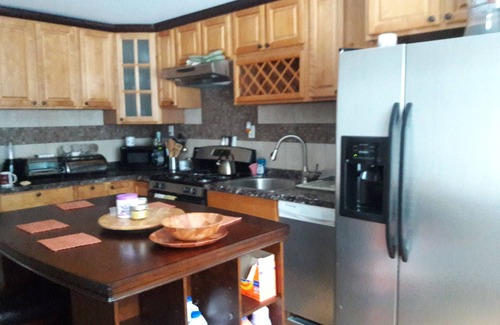 Livingston Manor House | Cozy Cottage by the river in trout town .