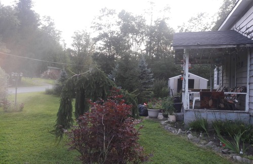 Livingston Manor House | Cozy Cottage by the river in trout town .