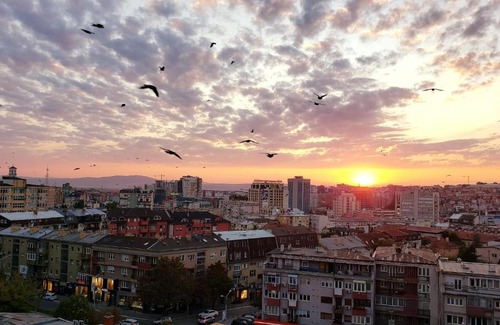 Matiçan Apartment | Cozy Downtown Flat with a City View