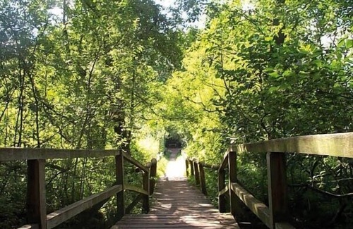 Moelln House | Cozy, family-friendly holiday home right on the forest