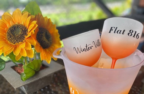 Novo Gravata Apartment | Cozy flat in Gravatá-Winterville