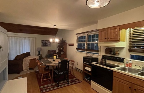 Dushore Cabin | Cozy getaway for your winter adventure: Pet-friendly3BR cabin near trails!