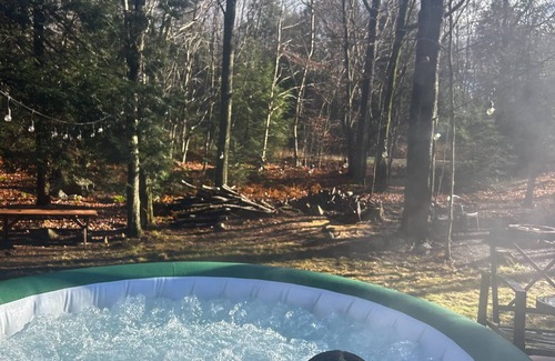 Dushore Cabin | Cozy getaway for your winter adventure: Pet-friendly3BR cabin near trails!