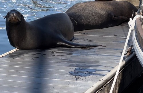 Marina del Rey Boat Rental | Cozy good vibes boat experience in Marina Del Rey. Perfect location in safe area