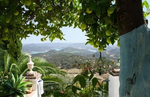 Zufre Cottage | COZY HOUSE FOR 8/9 IN ZUFRE