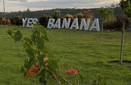 Bananeiras House | Cozy in banana trees